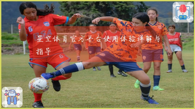 星空体育官方平台使用体验详解与指导