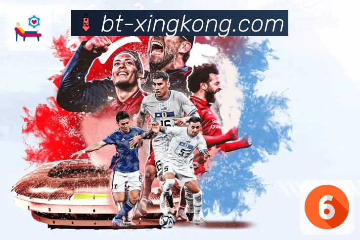 xingkongApp投注历史档案与战绩分析